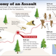 Image for article titled Brave Mountain Lion Fends Off Group Of Hikers